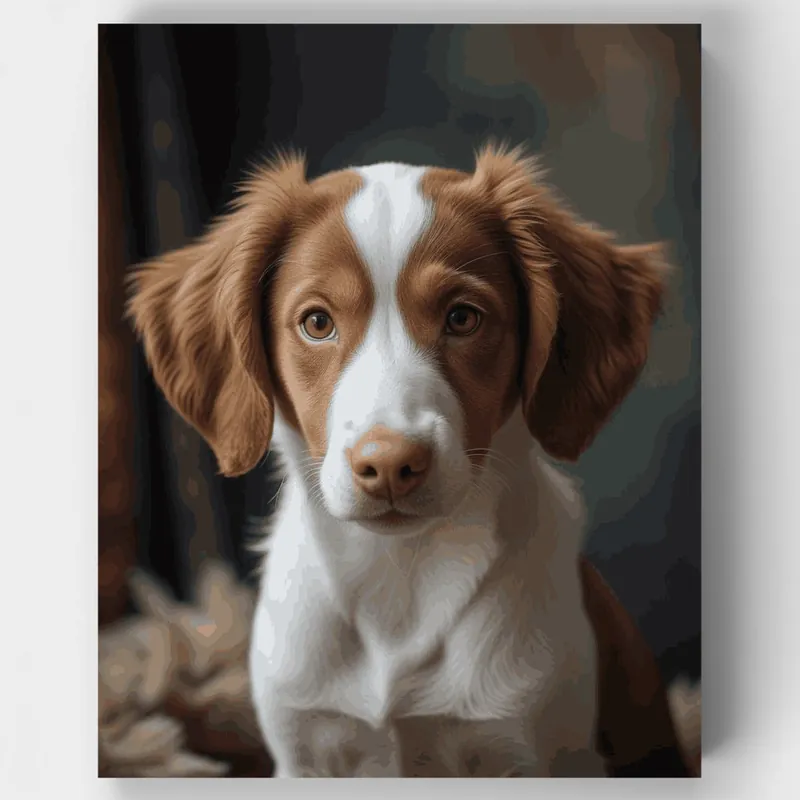 Devolución Gratuita Dulce Cachorro Spaniel Marrón y Blanco - Kit de pintar por números - Lienzo Enrollado / 24 Colores