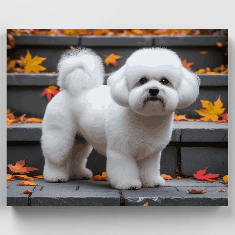 Bichón Frisé Esponjoso en Hojas de Otoño - Kit de pintar por números - Lienzo Enrollado / 24 Colores Liquidación