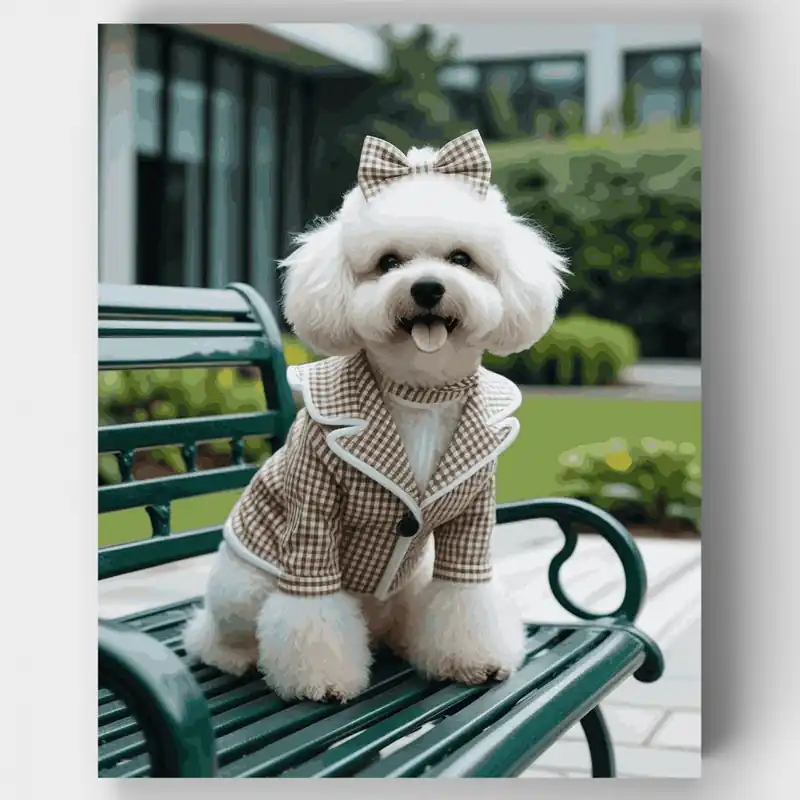 Entrega Rápida Elegante Bichon Frise en Banco del Parque - Kit de pintar por números - Lienzo Enrollado / 24 Colores