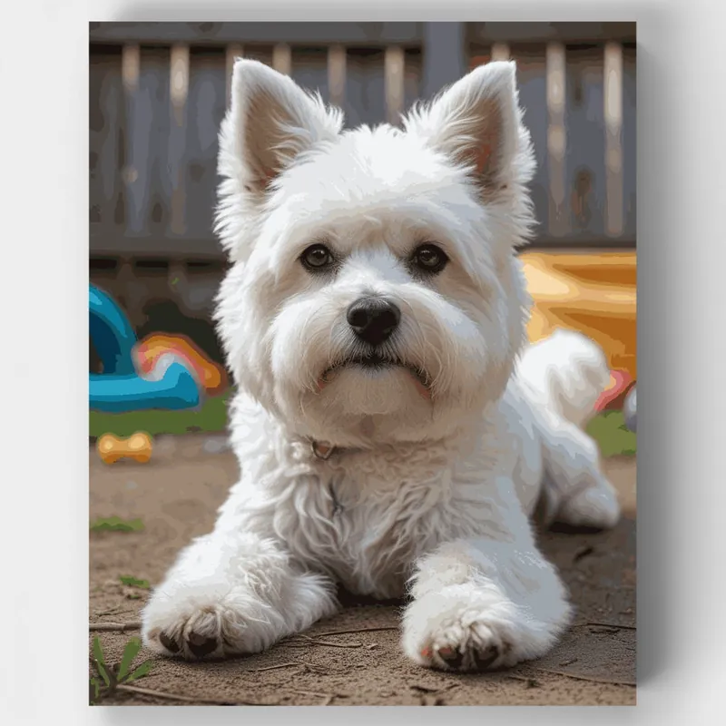 Comprar En Línea West Highland White Terrier - Kit de pintar por números - Lienzo Enrollado / 24 Colores