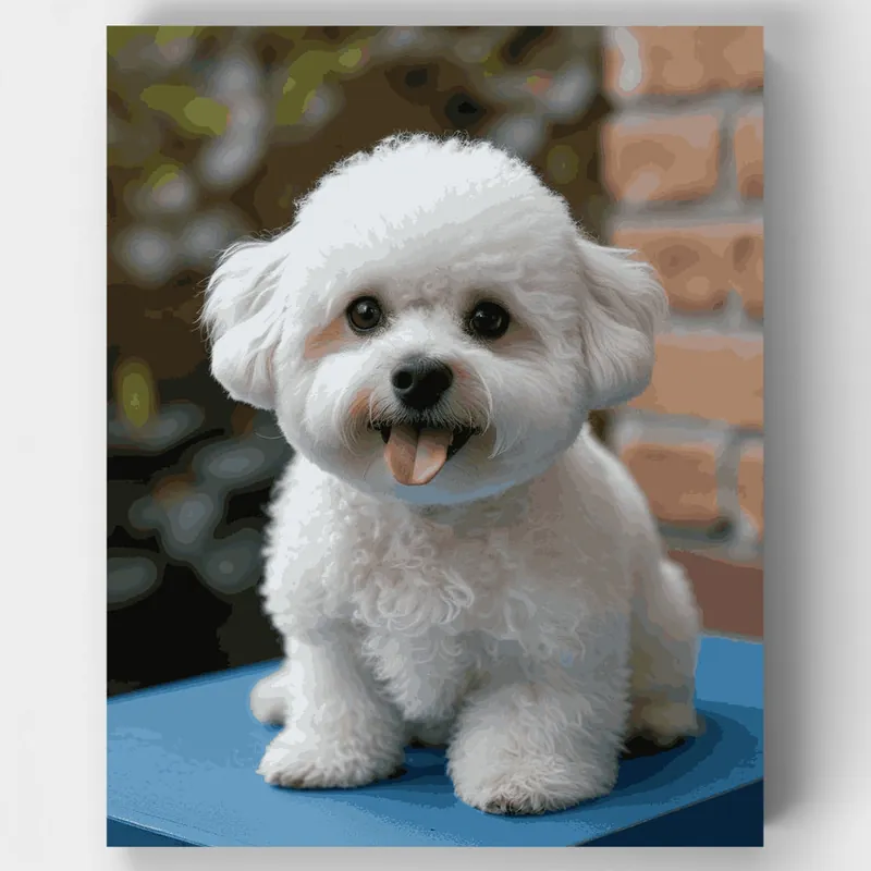 Adorable Bichon Frise - Kit de pintar por números - Lienzo Enrollado / 24 Colores Moderno