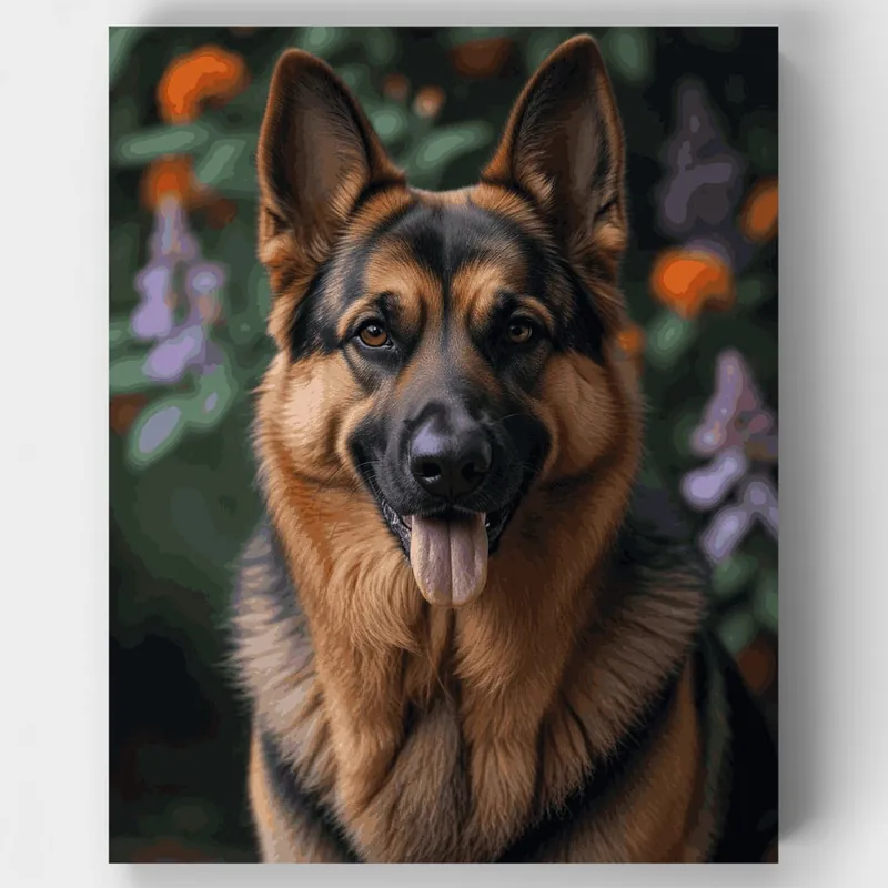 Precio Bajo Retrato Majestuoso de Pastor Alemán - Kit de Pintar por Números - Lienzo Enrollado / 24 Colores
