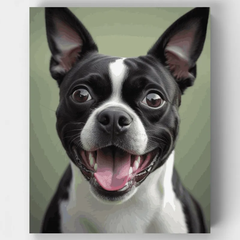 Boston Terrier Feliz - Kit de Pintar por Números - Lienzo Enrollado / 24 Colores Popular