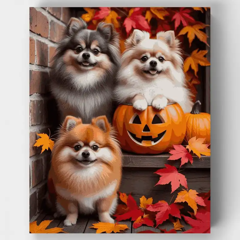 Precio Económico Trío de Pomerania en Halloween - Kit de pintar por números - Lienzo Enrollado / 24 Colores