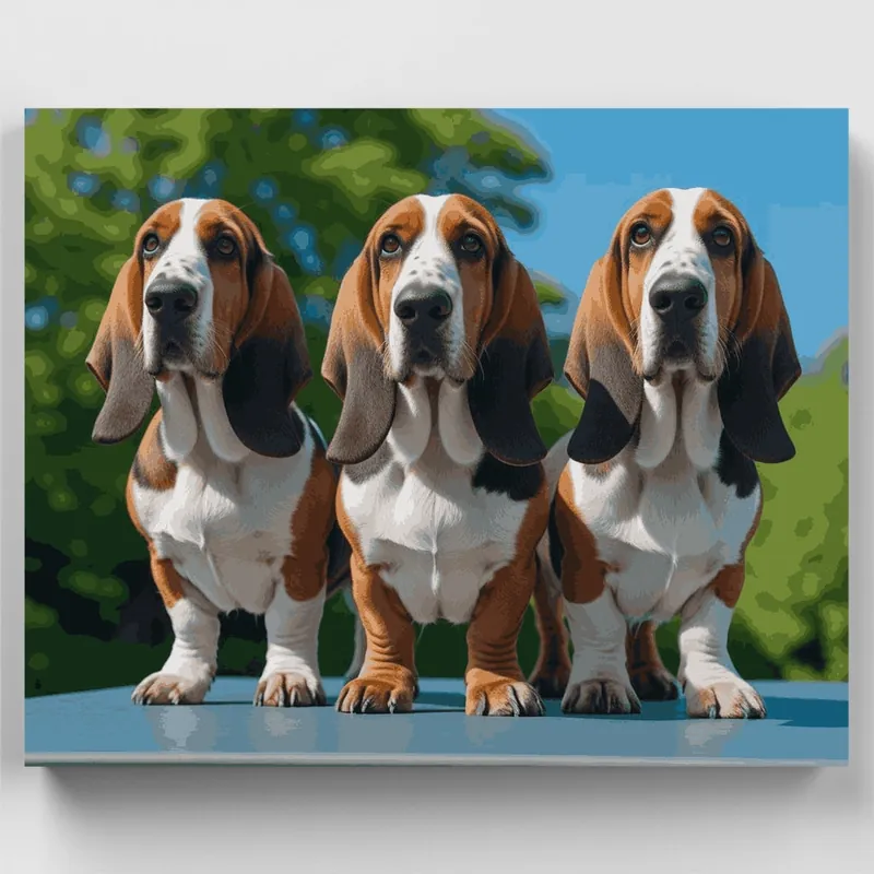 Liquidación Three Basset Hounds - Paint by Numbers Kit - Lienzo Enrollado / 24 Colores
