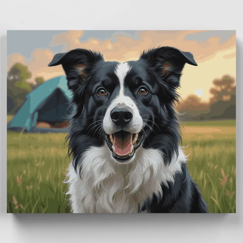 Bestseller Happy Border Collie in Meadow - Paint by Numbers Kit - Lienzo Enrollado / 24 Colores