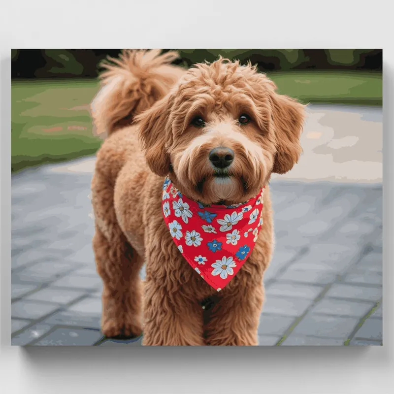 Adorable Goldendoodle with Floral Bandana - Paint by Numbers Kit - Lienzo Enrollado / 24 Colores Comprar En Línea