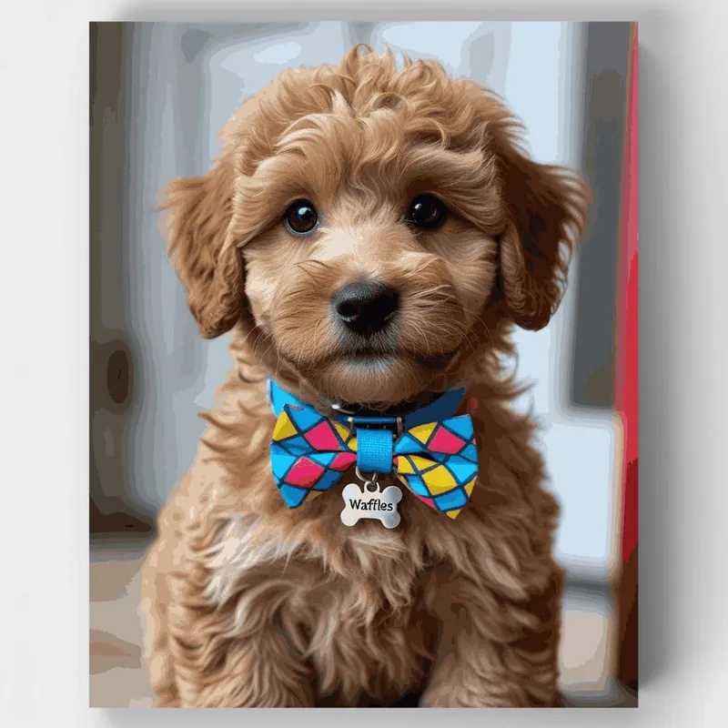 Waffles el Cockapoo - Kit de pintar por números - Lienzo Enrollado / 24 Colores Imprescindible (Must-Have)