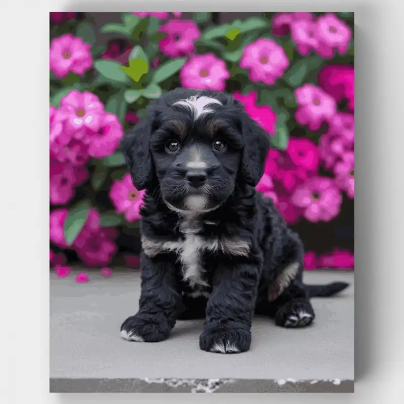 A Buen Precio Adorable Cachorro Cockapoo Negro con Flores Rosas - Kit de Pintar por Números - Lienzo Enrollado / 24 Colores