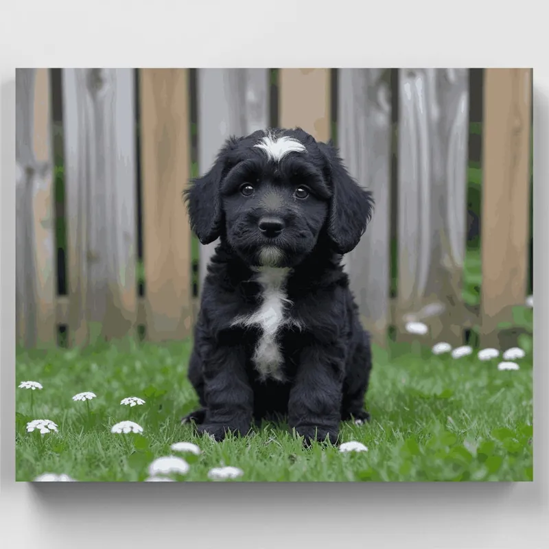 Cachorro Cockapoo Negro - Kit de pintar por números - Lienzo Enrollado / 24 Colores Mejor Precio