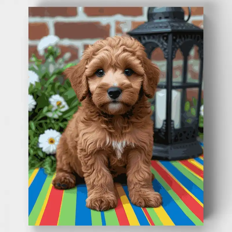 Precio De Oferta Cachorro Labradoodle Esponjoso con Linterna - Kit de pintar por números - Lienzo Enrollado / 24 Colores