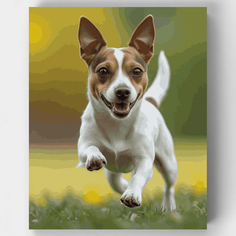 De Moda Jack Russell Saltando - Kit de pintar por números - Lienzo Enrollado / 24 Colores