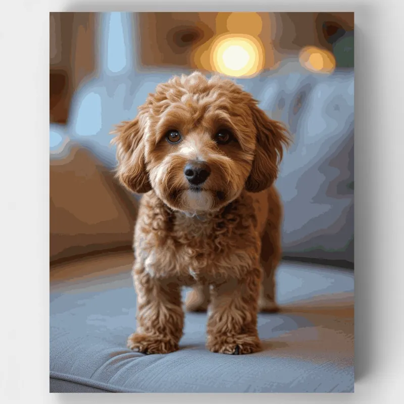 Precio De Fábrica Cavapoo Acogedor en Ropa de Cama Azul - Kit de pintar por números - Lienzo Enrollado / 24 Colores