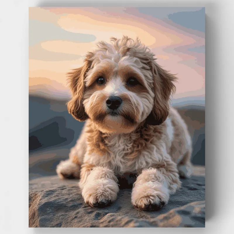 Adorable Cavapoo al Atardecer - Kit de pintar por números - Lienzo Enrollado / 24 Colores Mayoreo