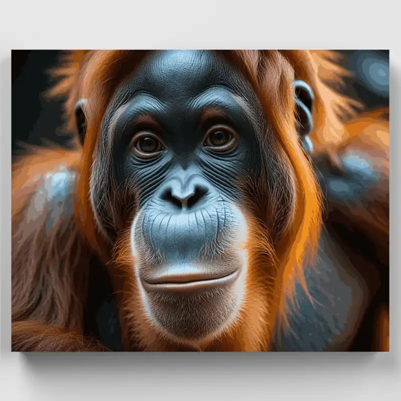 Primer Plano de Orangután Conmovedor - Kit de pintar por números - Lienzo Enrollado / 24 Colores Oferta Flash