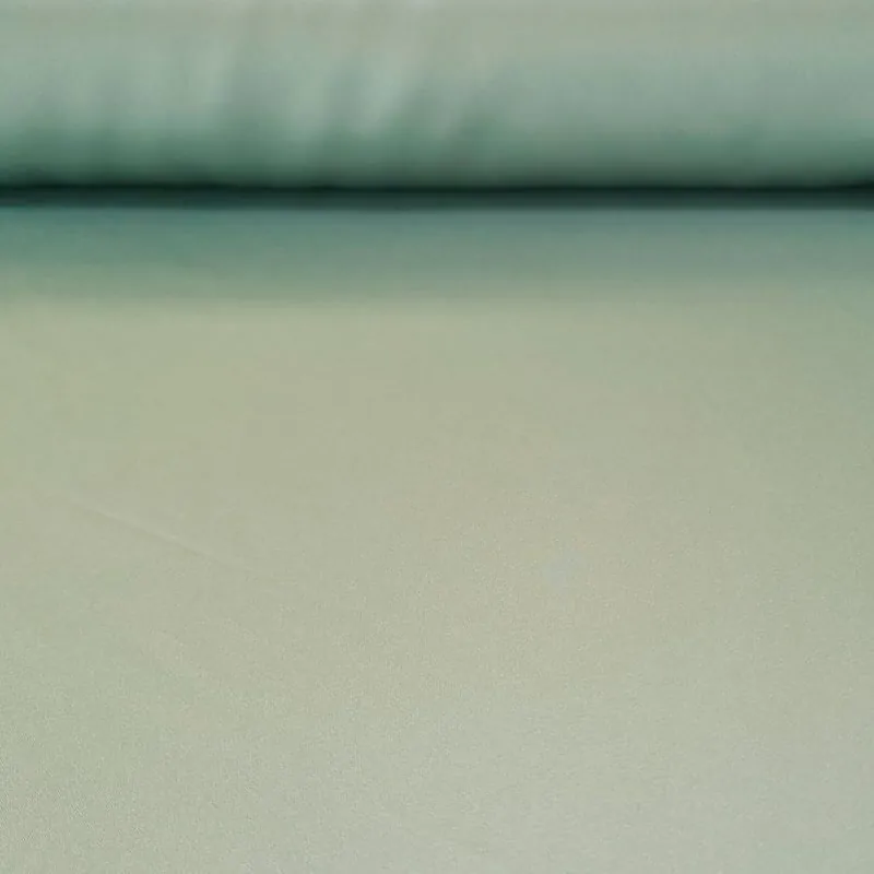 Tela de Satén Lisa Verde Pálido (ancho 1,40M) Ocasión Especial